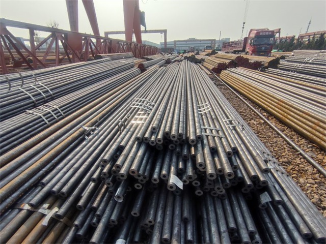 IMG_20230401_154903.jpg IMG_20230401_154903.jpg